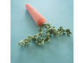 viazanaia-kriuckom-morkov-small-4