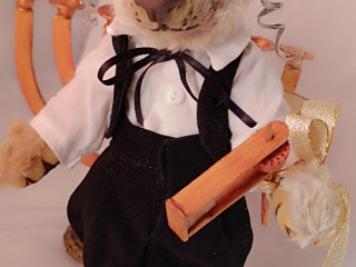 moisa-miska-teddi