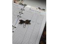 planer-formata-a6-small-6
